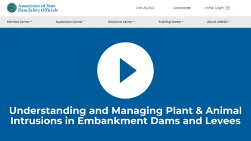 Plant & Animal Intrusions in Embankment