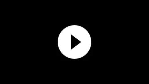 VidSheffield4