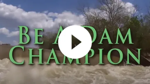 Video - Be A Dam Champion