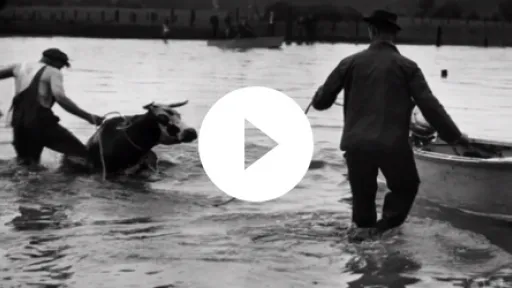 Video - Oregon Experience Vanport