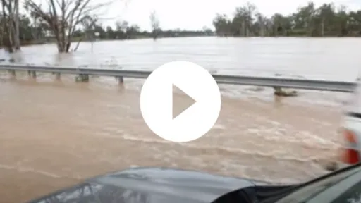 Video - Wivenhoe and Somerset Dams During January 2011