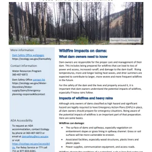 Focus-on-Dams-and-Wildfires Focus-on-Dams-and-Wildfires