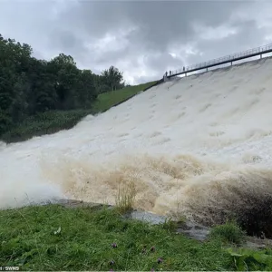 Toddbrook4